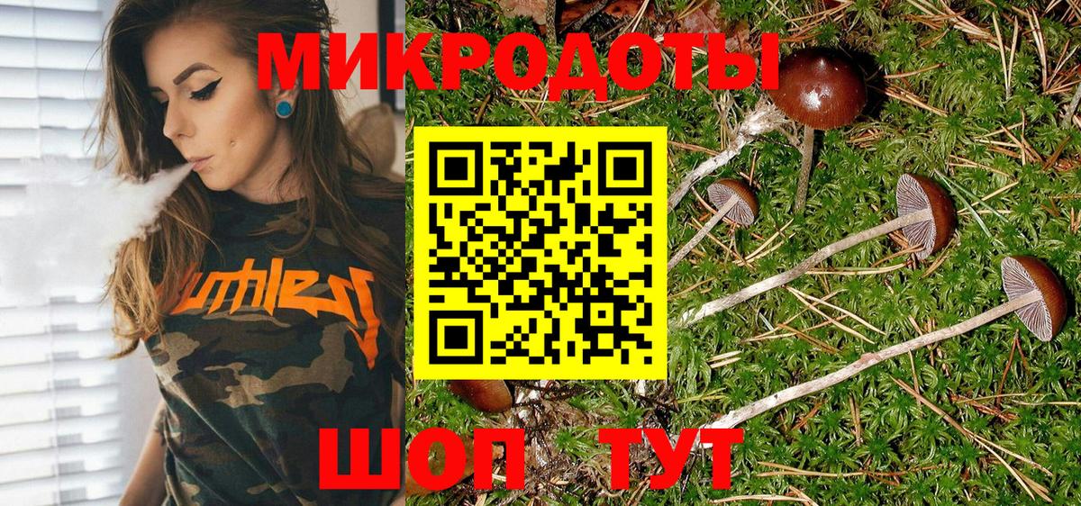 Псилоцибиновые грибы Psilocybine cubensis Ангарск